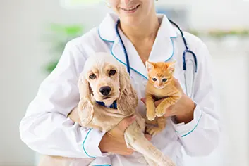 Soins veterinaires